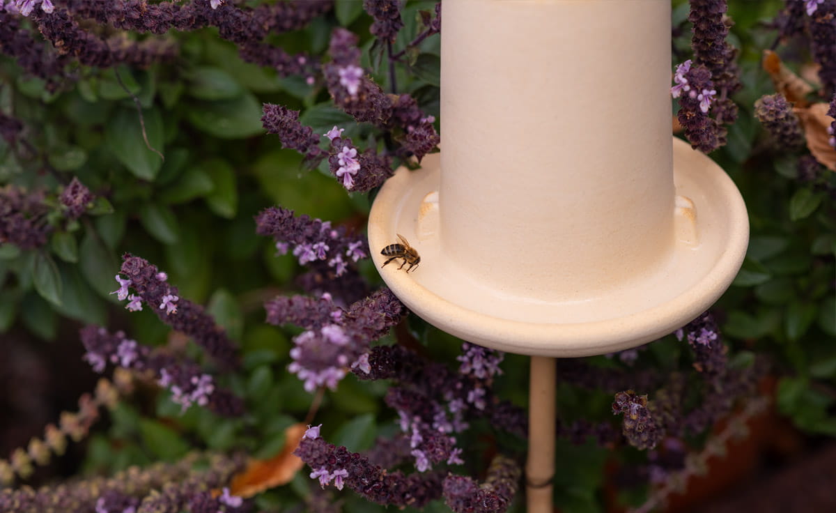 Denk Keramik 3in1 Insektenhaus mit Ohrwurmhaus, Florfliegenhaus und Insektentränke | OFI von DENK Keramik