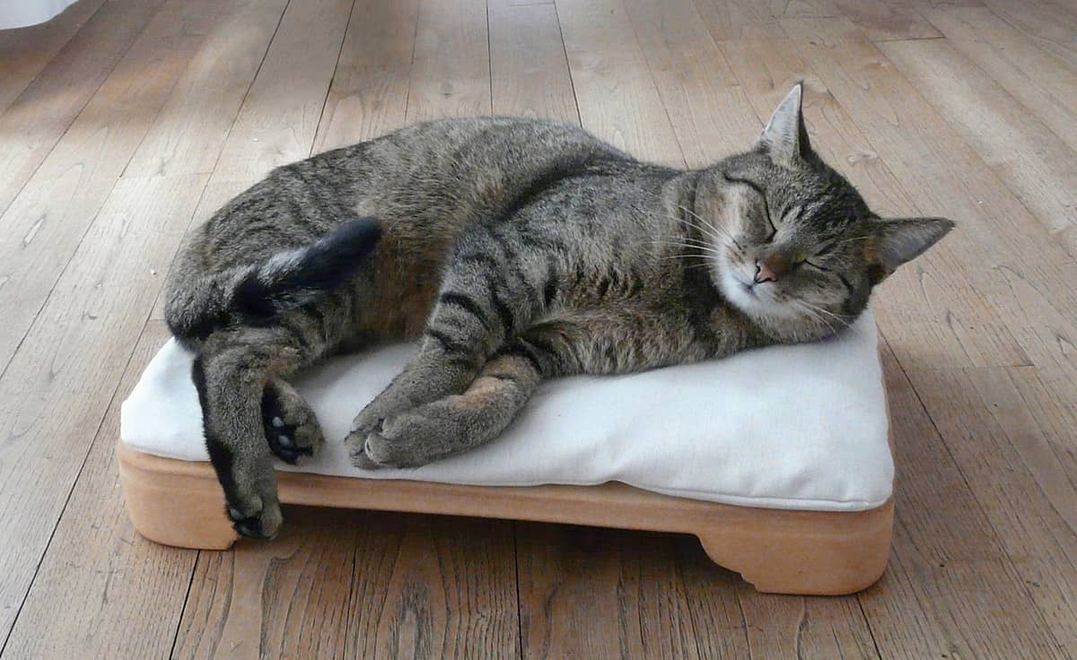 DENK Minkas-Kachelofen - das elektrisch beheizte Katzenbett | MK-CN von DENK Keramik