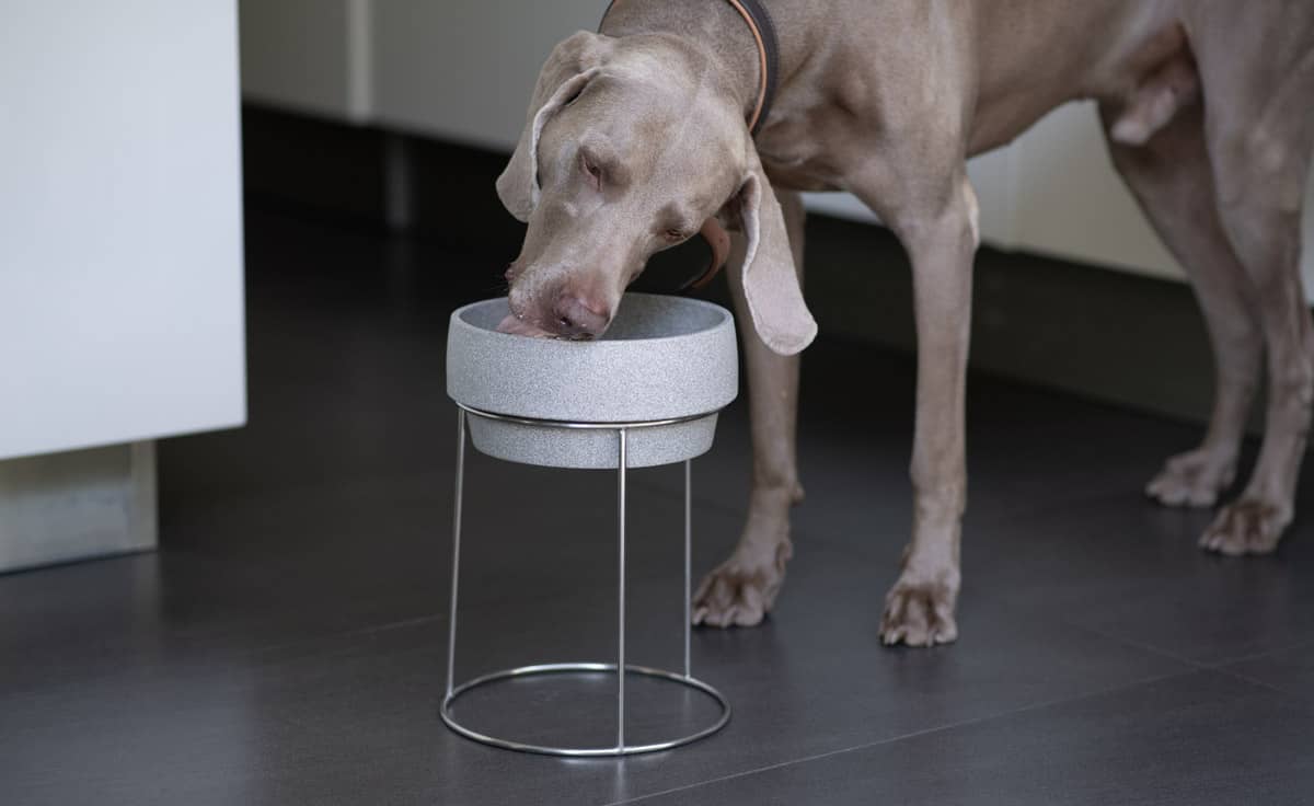 DENK Keramik Edelstahlständer für Hundenapf M und L 26 cm für große Hunde | EST1 von DENK Keramik
