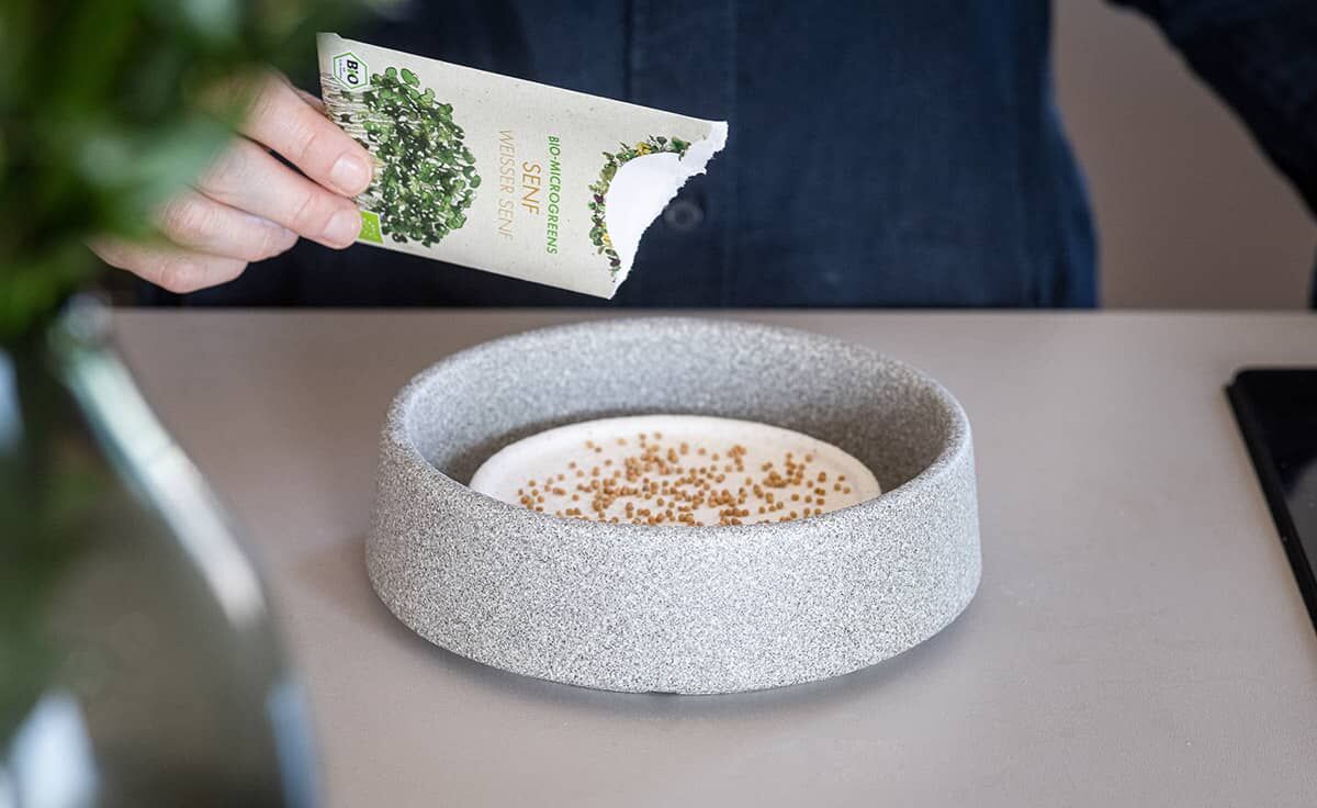 DENK Keramik Mikrogarten Pflanzstation für Microgreens Granicium® | MG von DENK Keramik