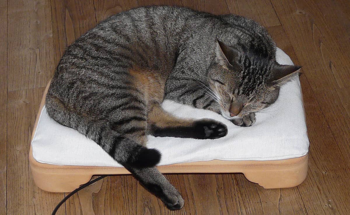 DENK Minkas-Kachelofen - das elektrisch beheizte Katzenbett | MK-CN