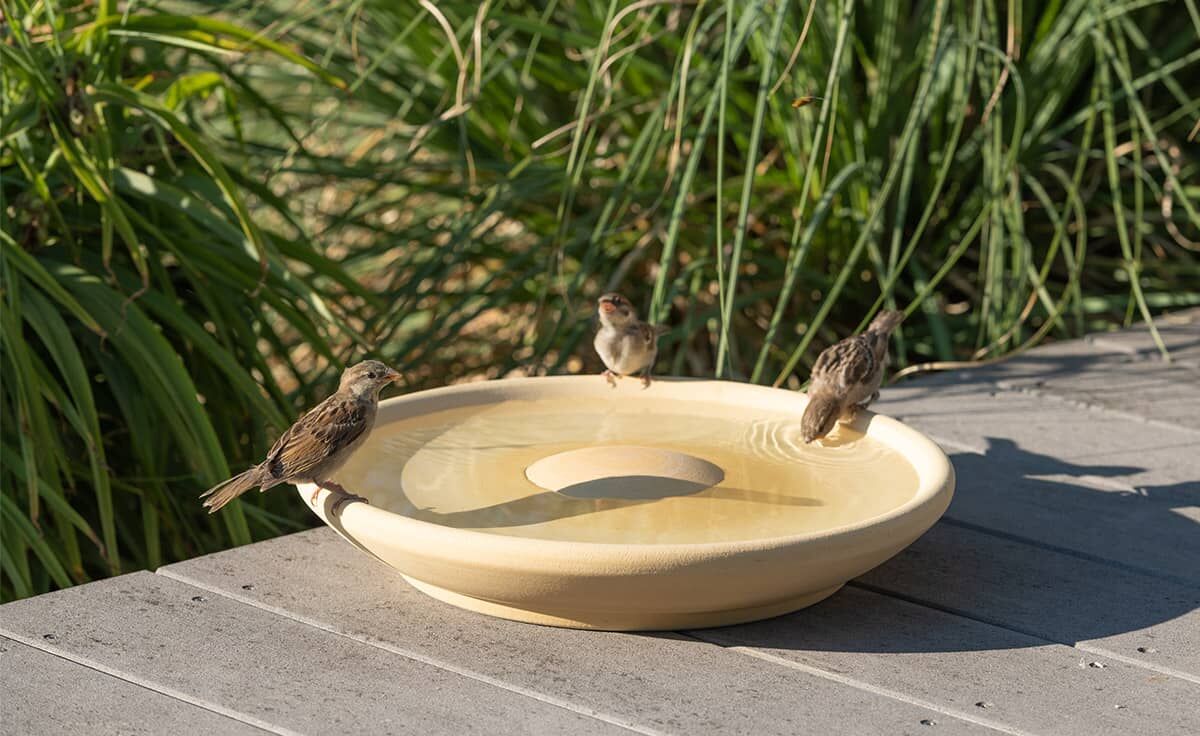 DENK Keramik Vogeltränke CeraNatur® ~ VTCN von DENK Keramik DENK Keramik Vogeltränke CeraNatur® ~ VTCN von DENK Keramik