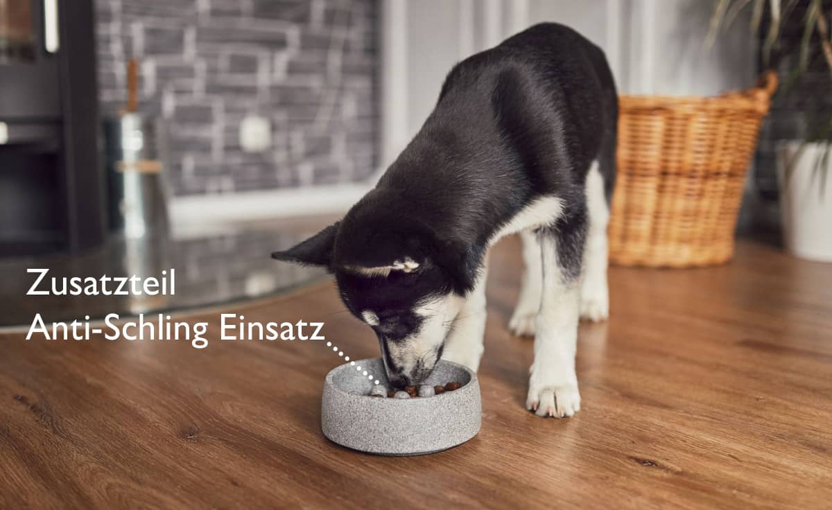 DENK Keramik Hundenapf S Granicium 550 ml für kleine Hunde | HSGR1