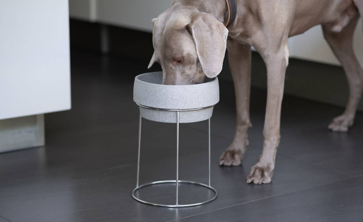 DENK Keramik Edelstahlständer für Hundenapf M und L 26 cm für große Hunde | EST1