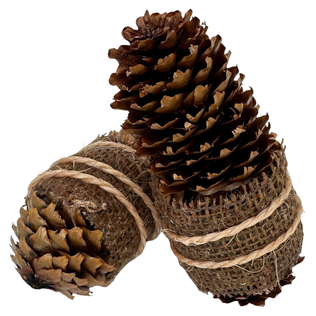100x Zapfenzünder Jute umwickelt - Ein echtes Naturprodukt für Kamin + Ofen + Grill - Herstellung ist Handarbeit von ZapfenZünder 100x Zapfenzünder Jute umwickelt - Ein echtes Naturprodukt für Kamin + Ofen + Grill - Herstellung ist Handarbeit von ZapfenZünder