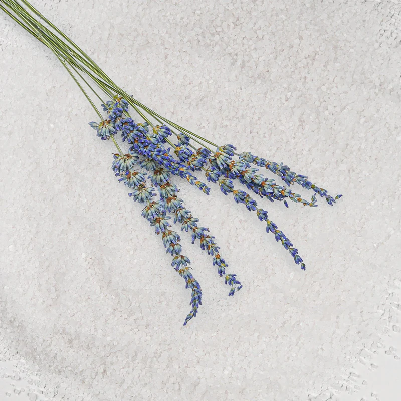 7er Pack Sense Stick+ Salzdusche mit Lavendel - Made in Germany von shower+