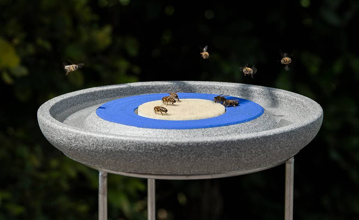 Edelstahl Ständer für die Insektenstation | INS-STE