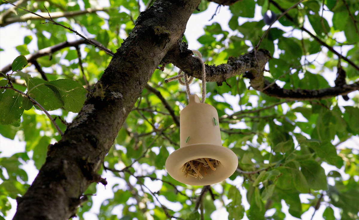 Denk Keramik 3in1 Insektenhaus mit Ohrwurmhaus, Florfliegenhaus und Insektentränke | OFI von DENK Keramik