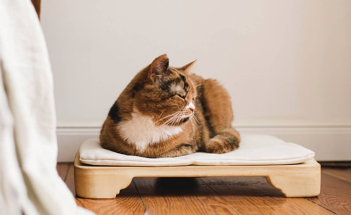 DENK Minkas-Kachelofen - das elektrisch beheizte Katzenbett | MK-CN