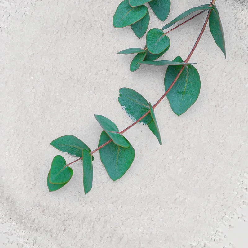 7er Pack Sense Stick+ Salzdusche mit Eukalyptus - Made in Germany von shower+