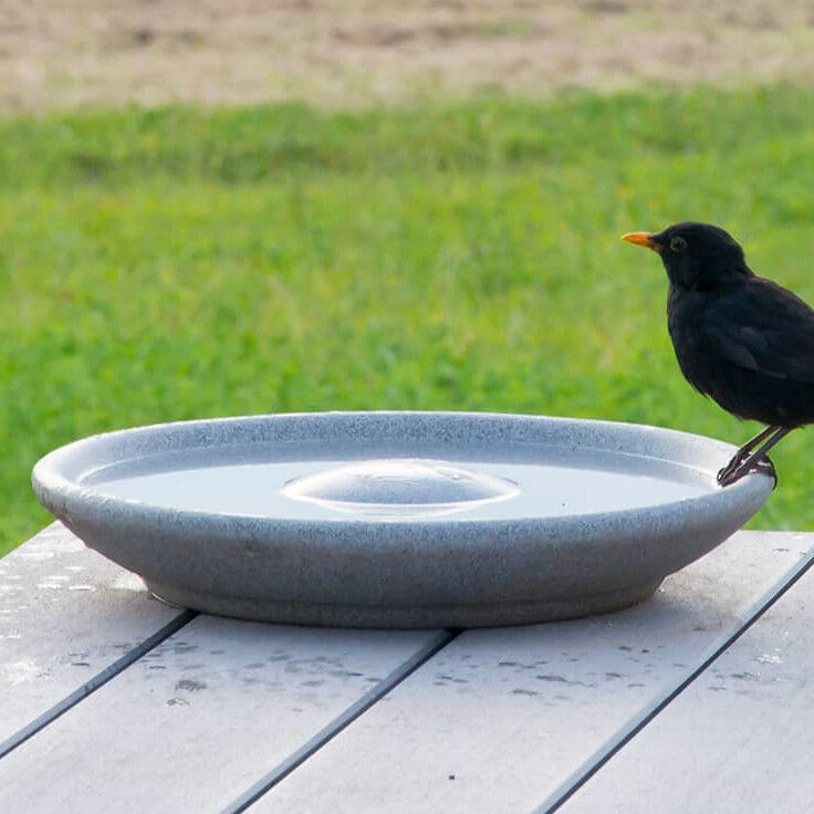 DENK Keramik Vogeltränke aus Granicium® - VTG von DENK Keramik DENK Keramik Vogeltränke aus Granicium® - VTG von DENK Keramik