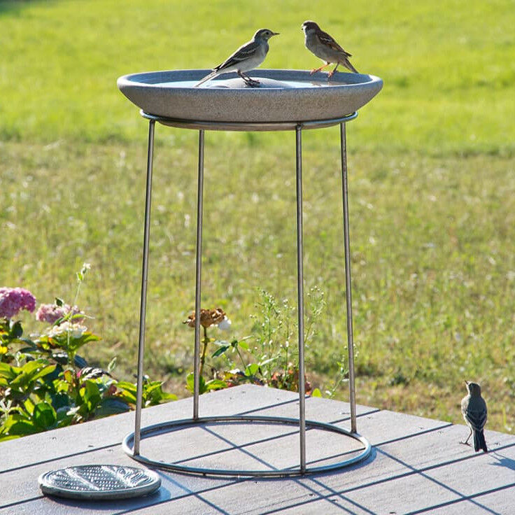 DENK Keramik Set Vogeltränke Granicium® mit Ständer aus Edelstahl - VTG+ST von DENK Keramik DENK Keramik Set Vogeltränke Granicium® mit Ständer aus Edelstahl - VTG+ST von DENK Keramik